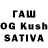 Псилоцибиновые грибы Magic Shrooms Gwynn King