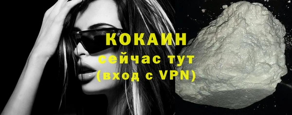 дживик Белокуриха