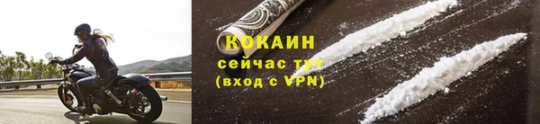 дживик Белокуриха