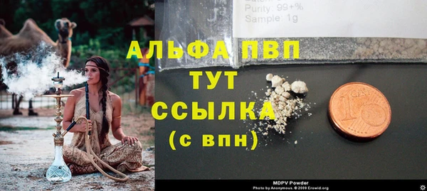 дживик Белокуриха