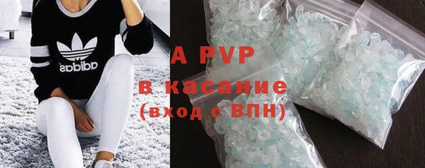 дживик Белокуриха